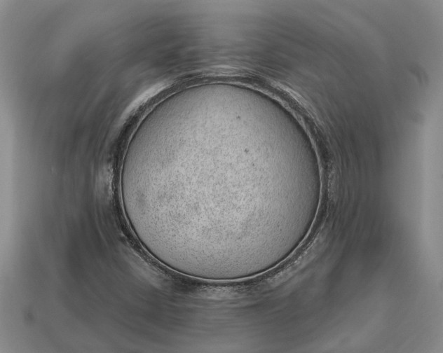 X0000112981402200909101704