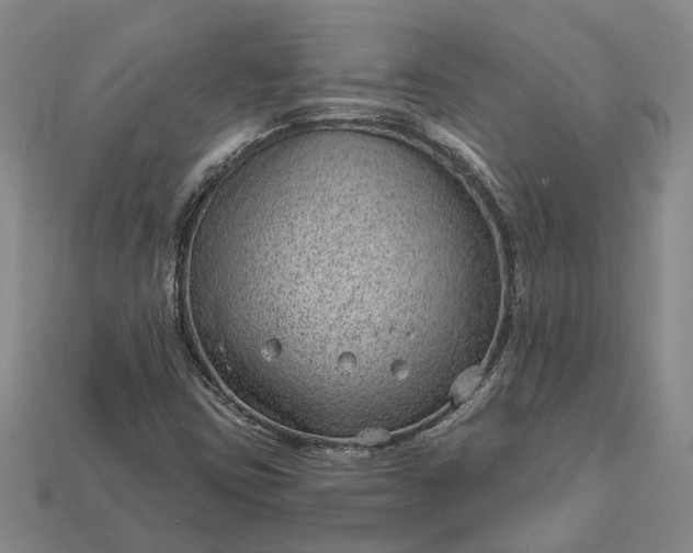 X0000112981403200909101704