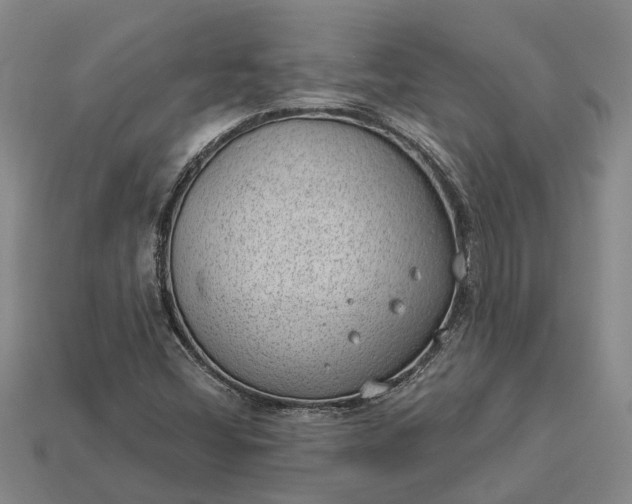 X0000112981404200909101704