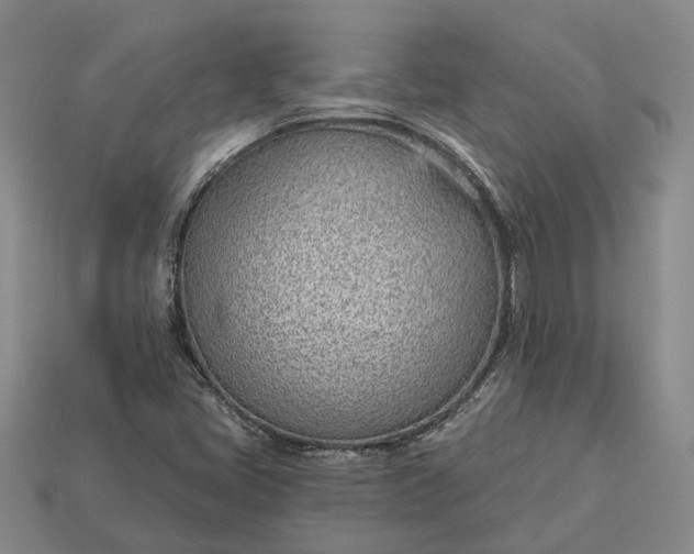 X0000112981405200909101704