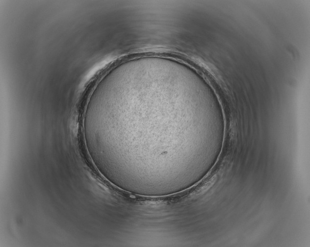 X0000112981406200909101705