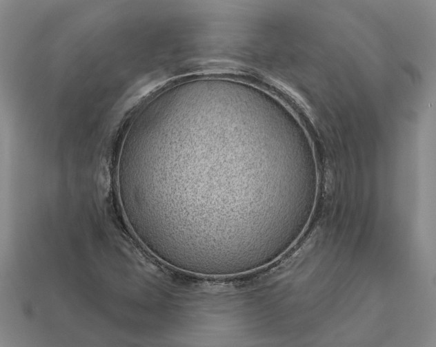 X0000112981407200909101705