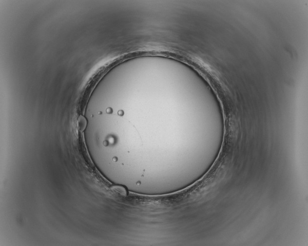 X0000112981408200909101705