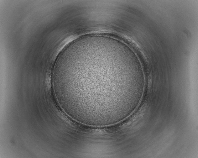 X0000112981409200909101705