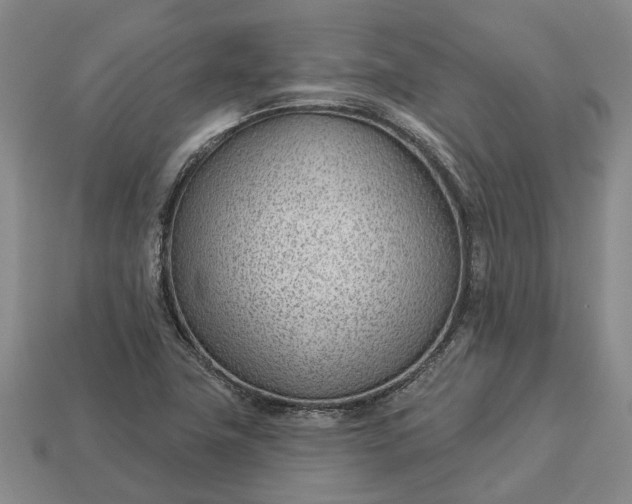 X0000112981411200909101705