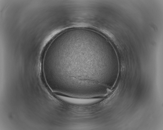 X0000112981414200909101705