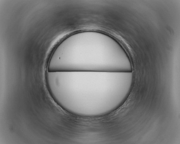 X0000112981416200909101705