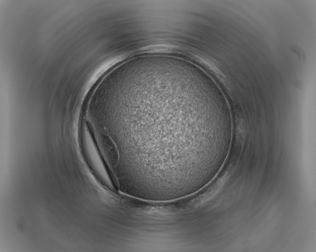 X0000112981418200909101705