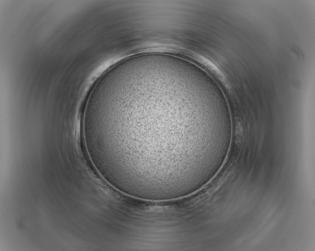 X0000112981419200909101705