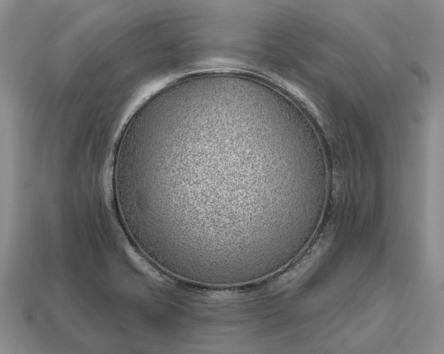 X0000112981421200909101705