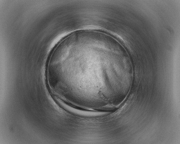 X0000112981422200909101705