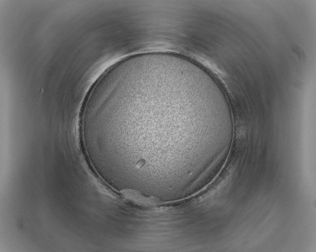 X0000112981423200909101705