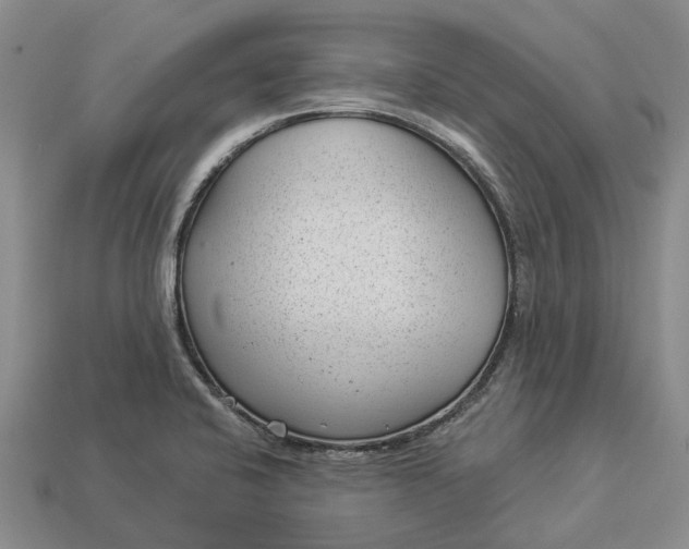 X0000112981424200909101705