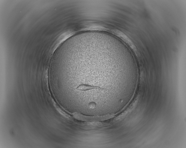 X0000112981425200909101705