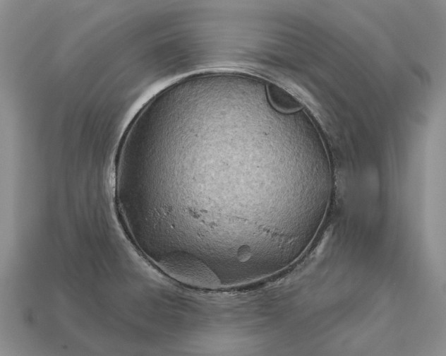 X0000112981428200909101705