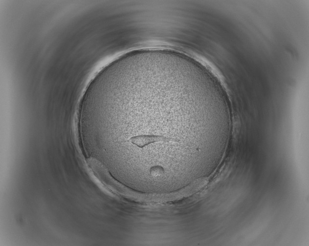 X0000112981429200909101705