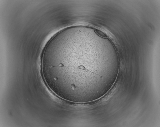 X0000112981430200909101705