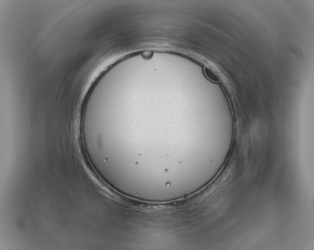 X0000112981432200909101705