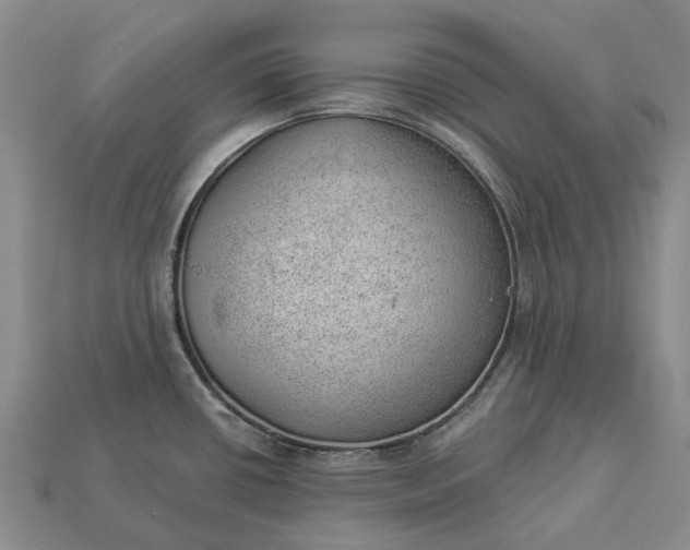 X0000112981434200909101705