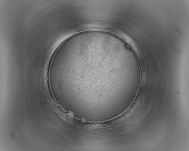 X0000112981435200909101705