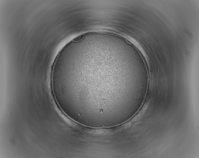 X0000112981437200909101705