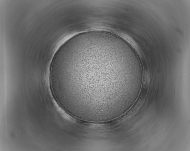 X0000112981439200909101705