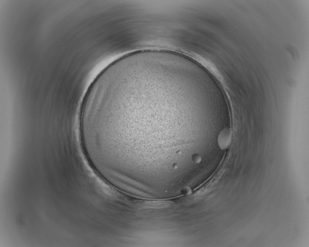 X0000112981440200909101705