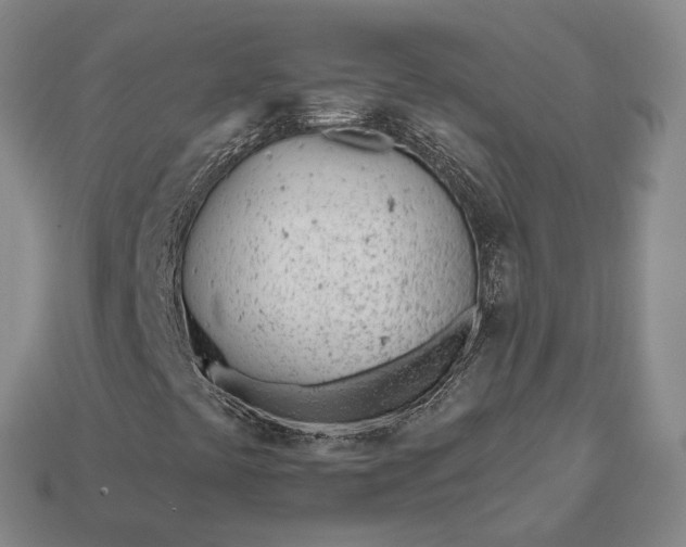 X0000112981441200909101704