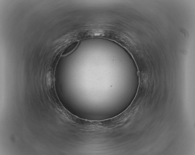 X0000112981442200909101704