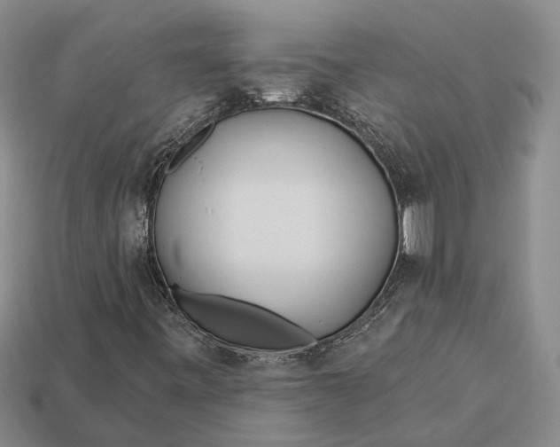 X0000112981443200909101704