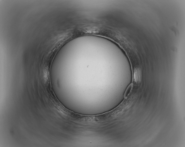 X0000112981444200909101704