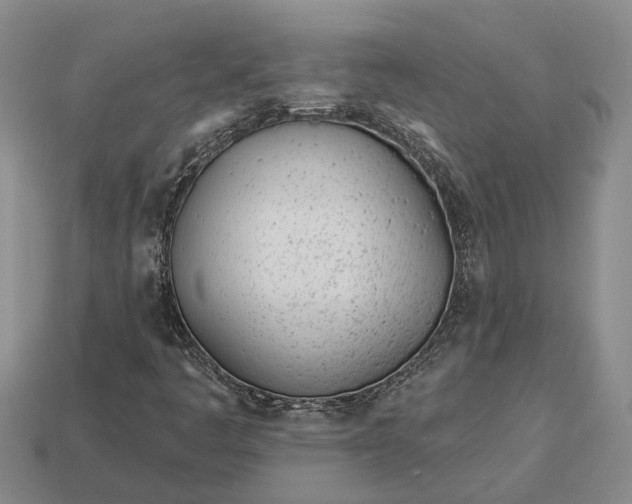 X0000112981445200909101704