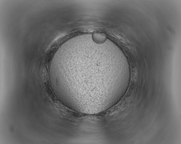 X0000112981446200909101704