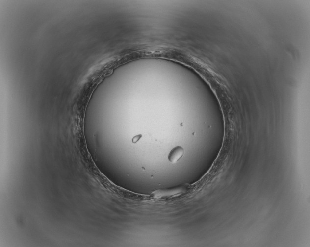 X0000112981447200909101704