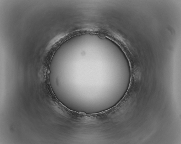 X0000112981448200909101704