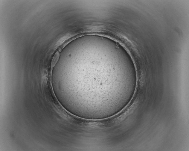 X0000112981449200909101704