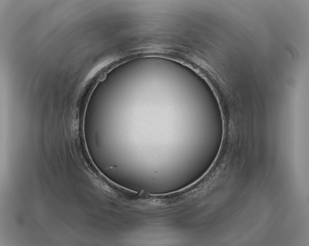 X0000112981450200909101704