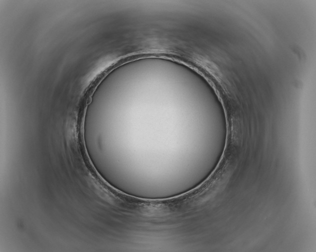 X0000112981452200909101704