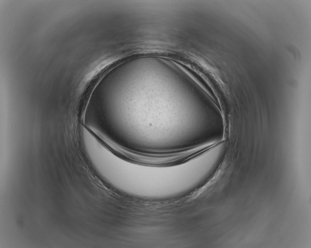 X0000112981453200909101704