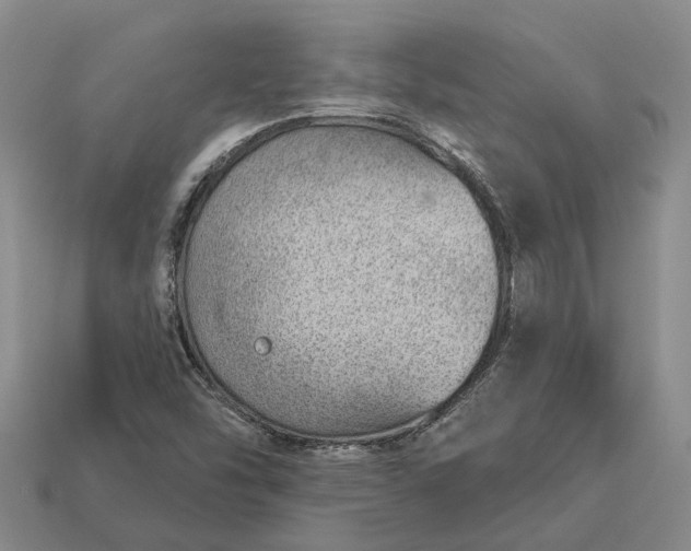 X0000112981454200909101704