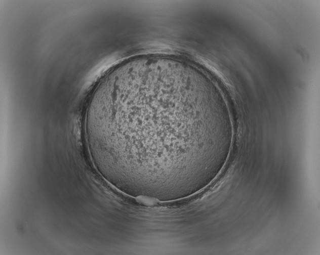 X0000112981455200909101704