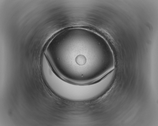 X0000112981457200909101704