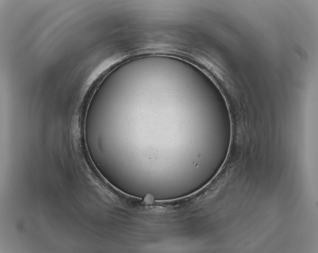 X0000112981458200909101704