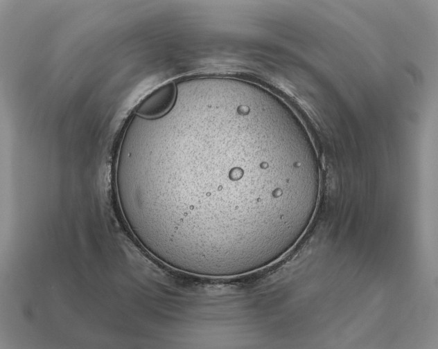 X0000112981459200909101704