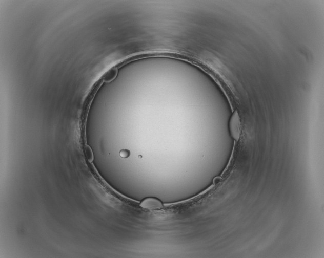 X0000112981460200909101704