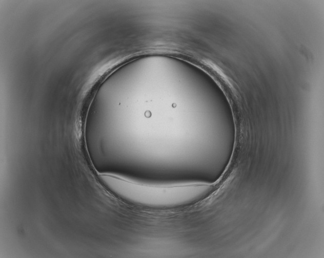 X0000112981461200909101704