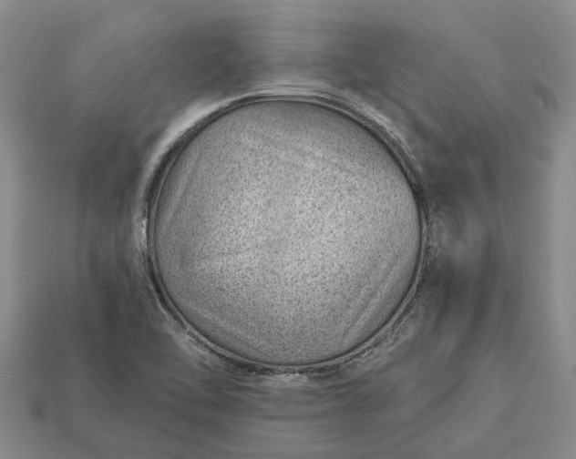 X0000112981462200909101704