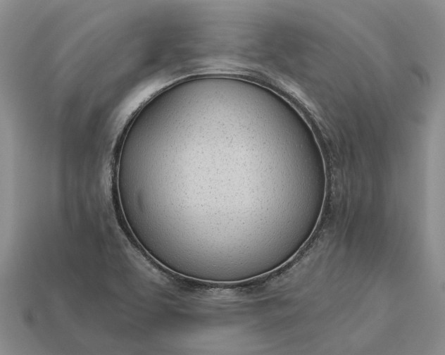 X0000112981463200909101704