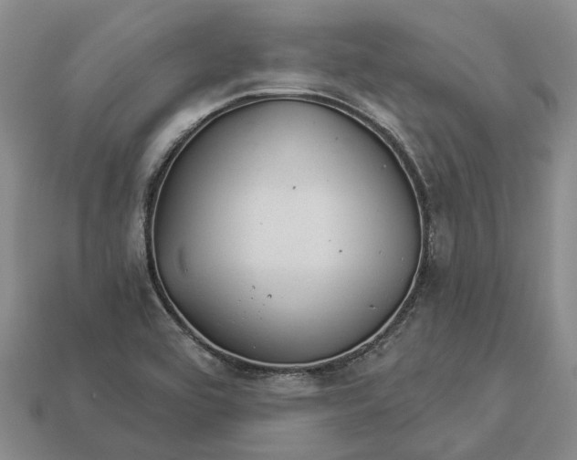 X0000112981464200909101704