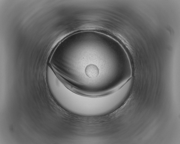 X0000112981465200909101704